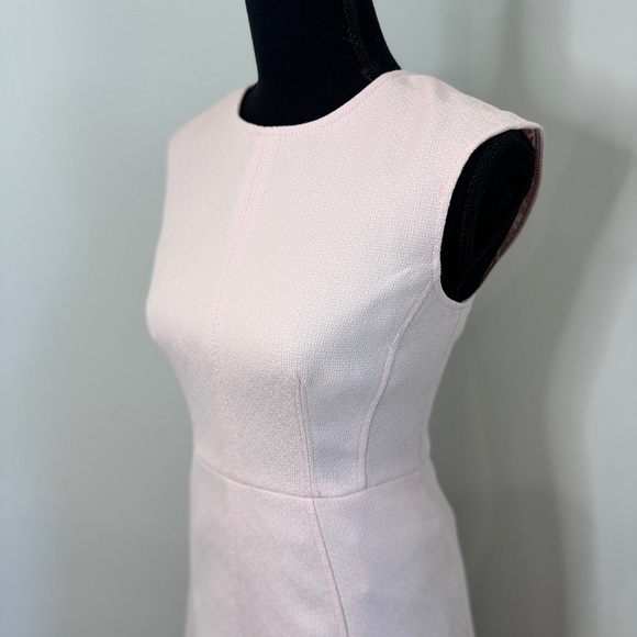 Eliza J Pale Pink Fringe Hem A-Line Circle Dress (sz 0) - Picture 6 of 13